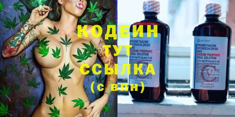 Кодеин Purple Drank  наркота  Костомукша 